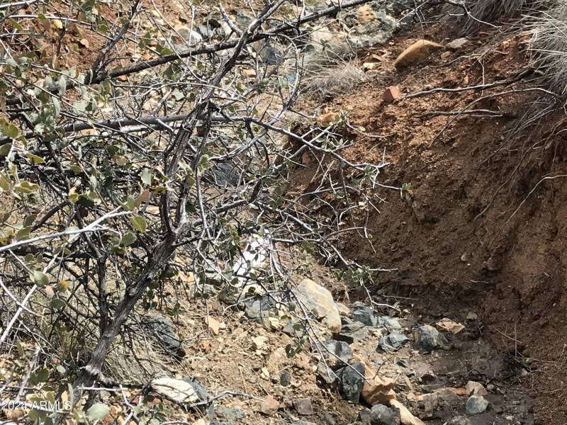 8FD86488-64FE-45B3-AE5D-46BF1E47D4DF