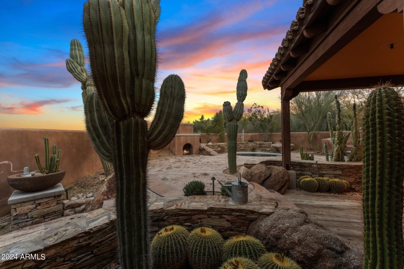 Backyard Views