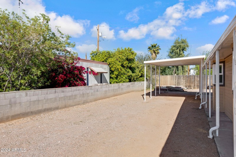 North side driveway/yard