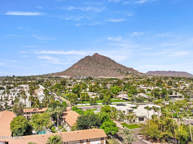 Camelback