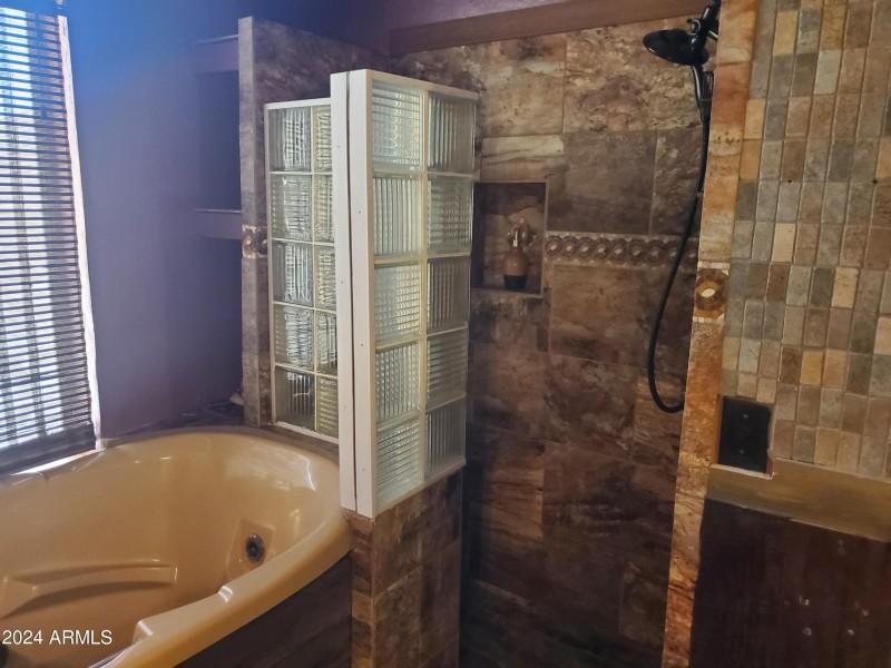 Master bathroom tub & shower