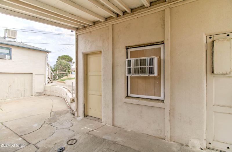 877 E Sycamore Tweety Bird-1