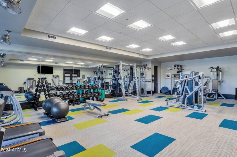 Gym