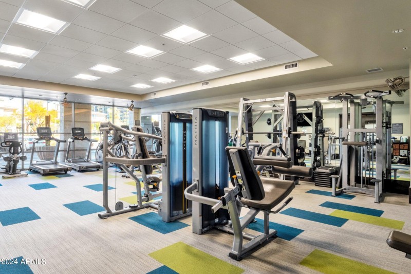 Gym