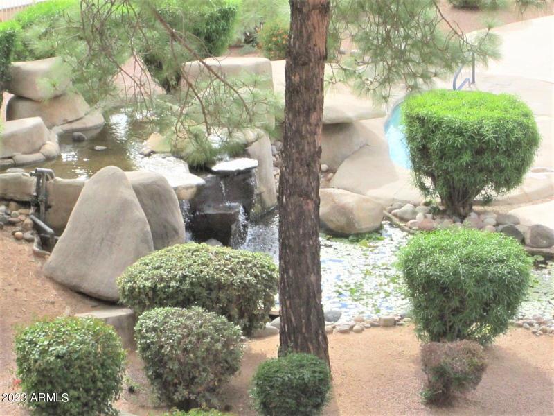 15 449 KOI POND CLOSE UP