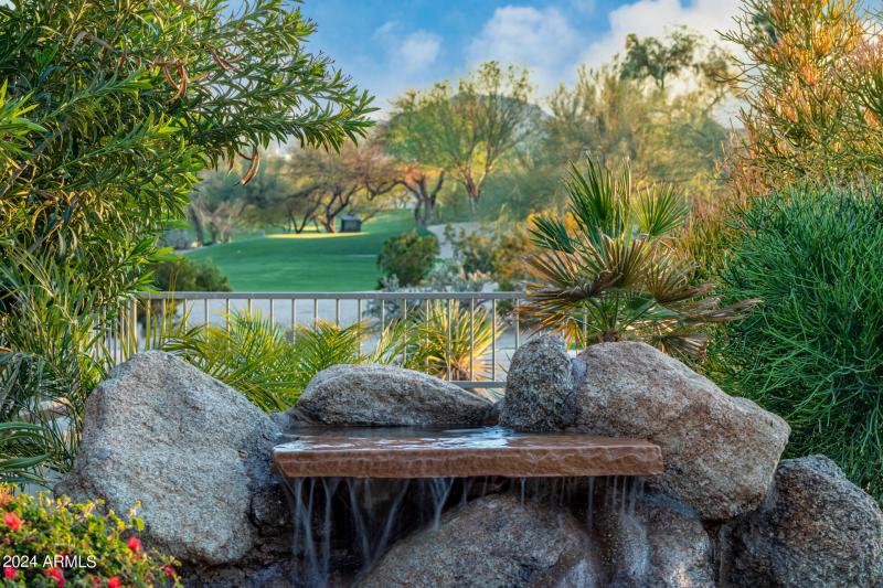 Water Feature in Backyard
