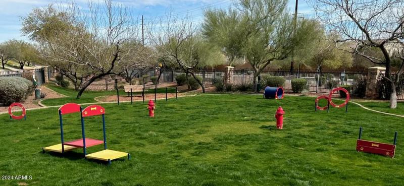 Dog Park