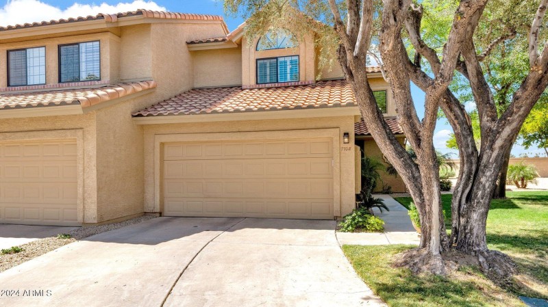 33-web-or-mls-P1039787