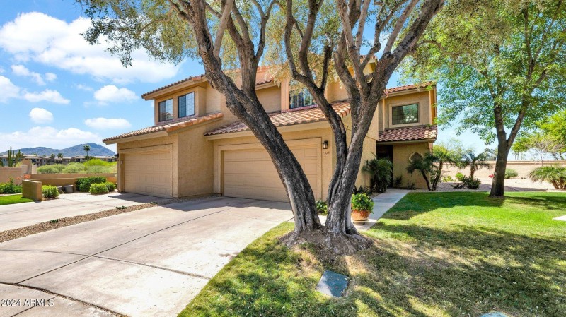 34-web-or-mls-P1039788