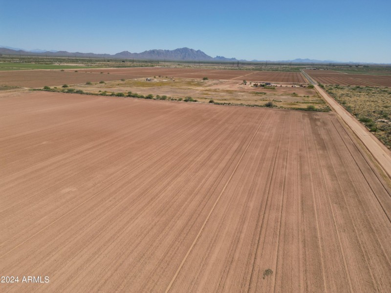 DJI_0558