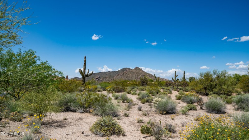 7752 E BLACK MOUNTAIN Road Lot-3