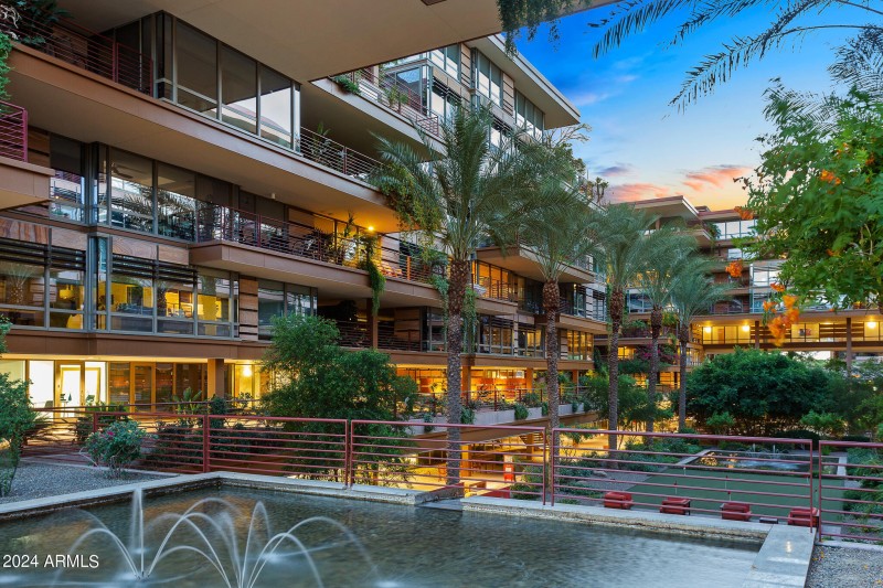 Optima Camelview