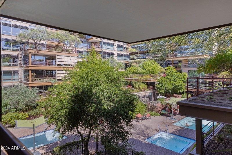 A view from the patio