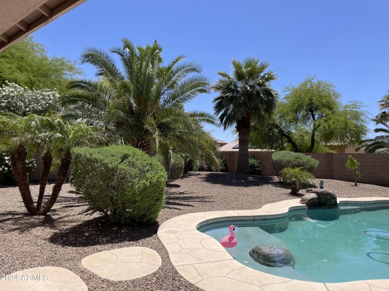 Backyard