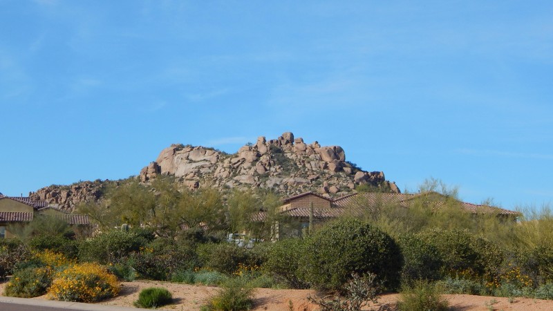 Nearby Views