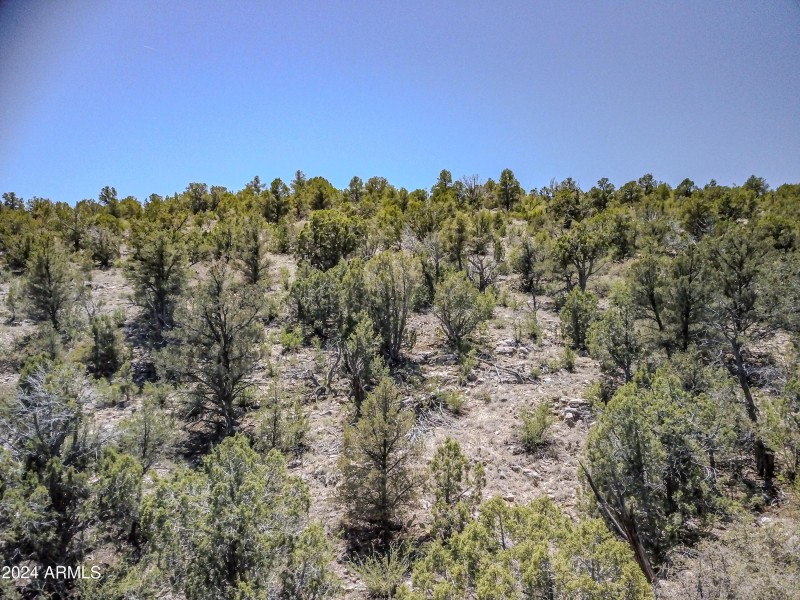 Drone view 1