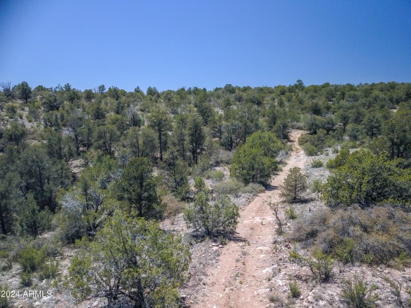 Drone view 4