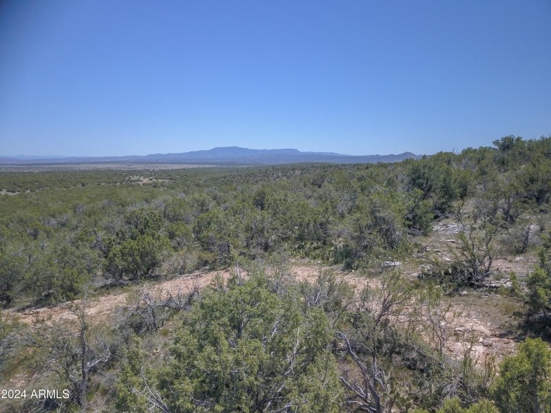 Drone view 5