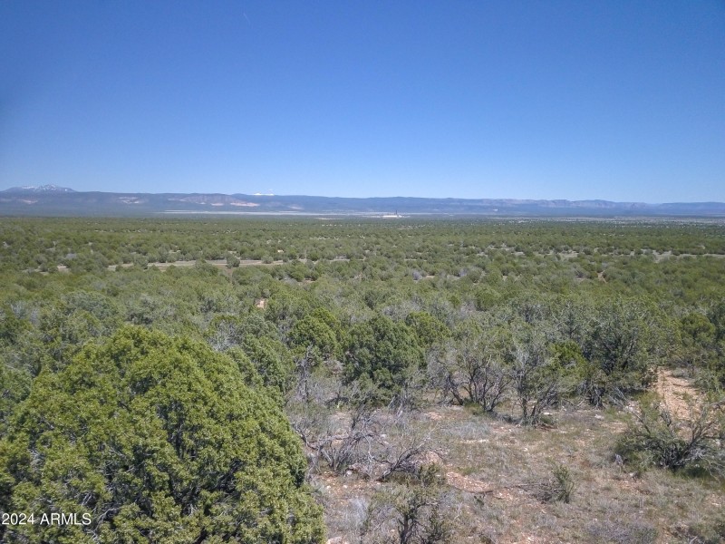 Drone view 6