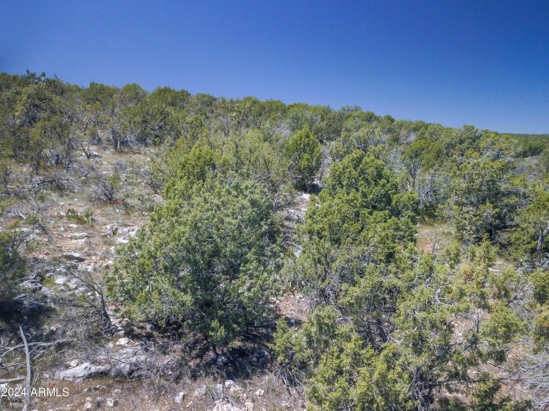 Drone view 7
