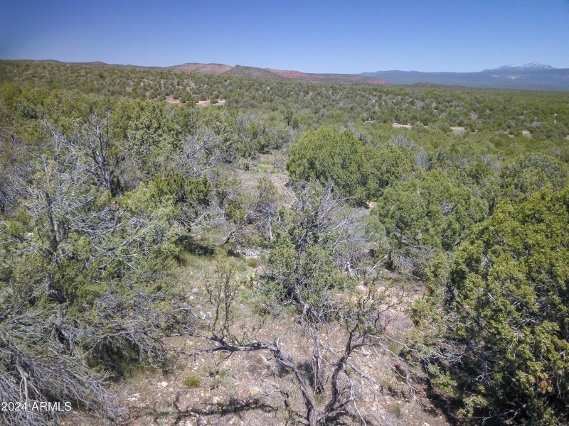 Drone view 8