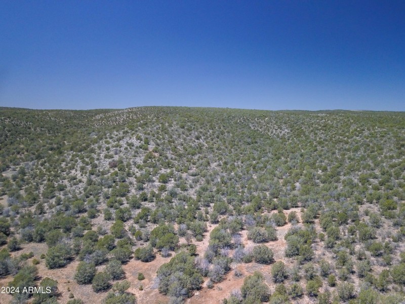 Drone view 9