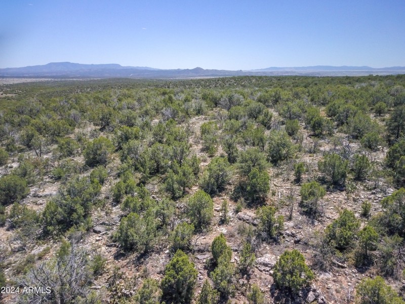 Drone view 11