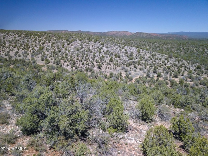 Drone view 13