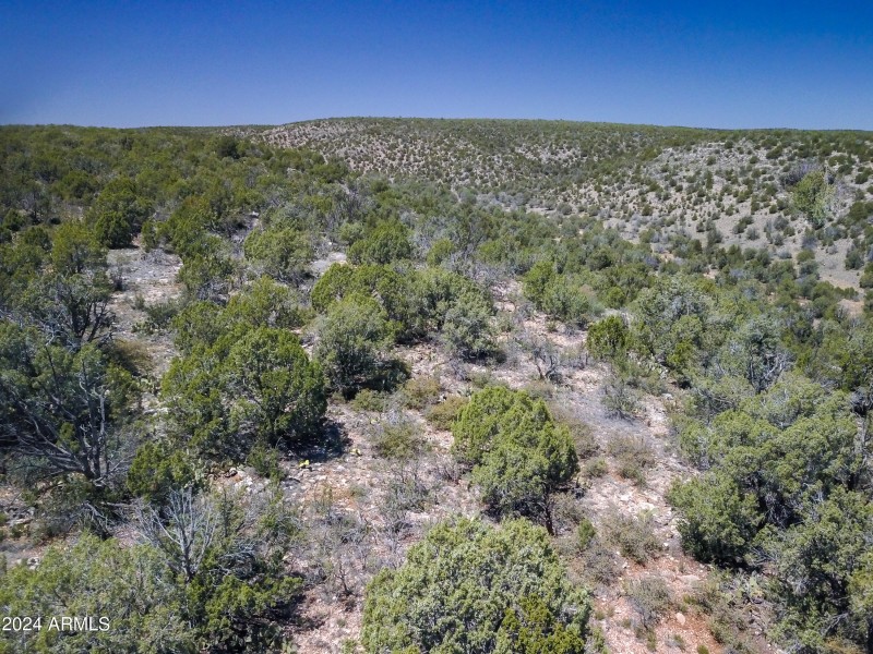 Drone view 14