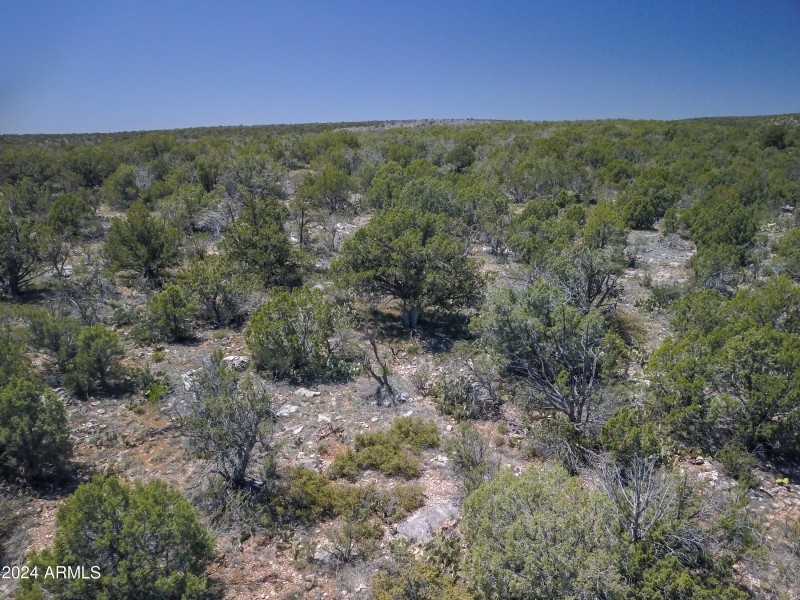 Drone view 15