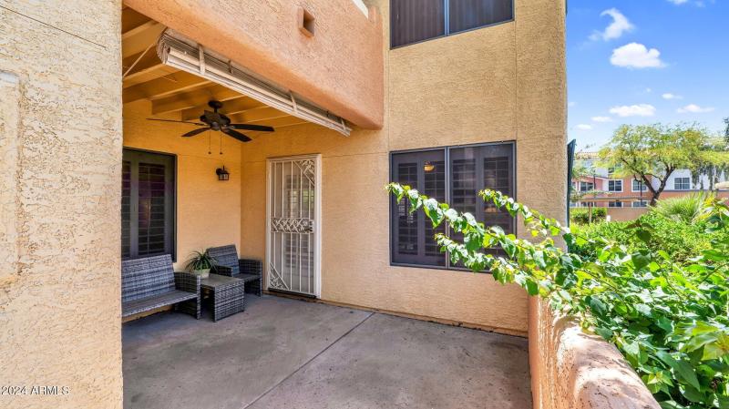 26-web-or-mls-P1053641