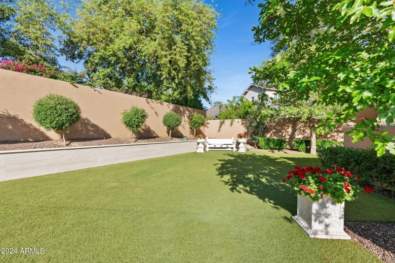 Large park like yard