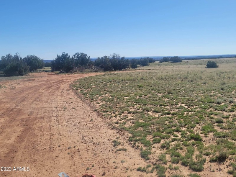 received_1434610320654221