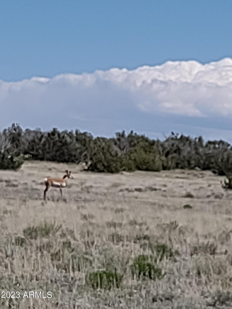 IMG_20230529_141230894