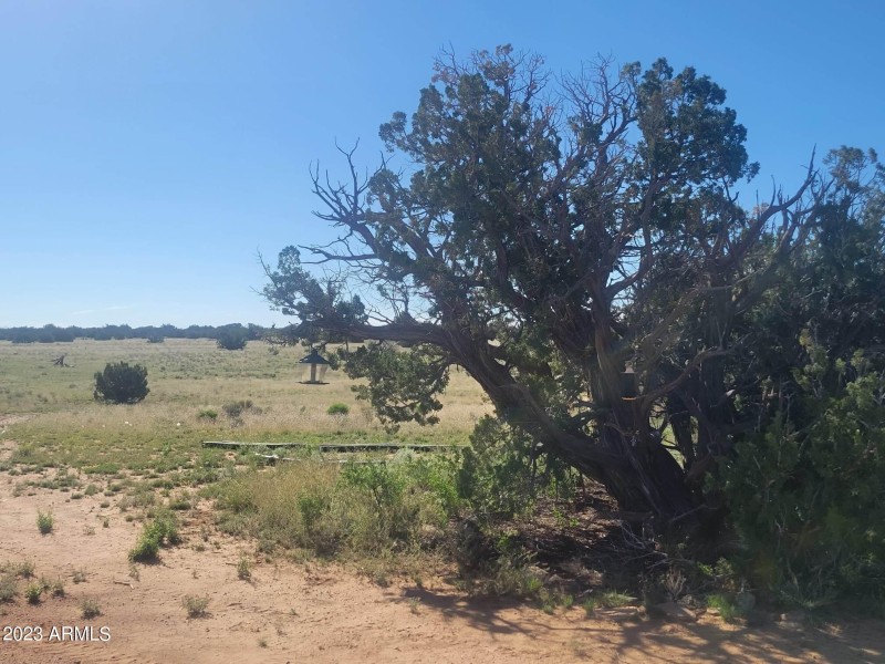 received_264205276161822