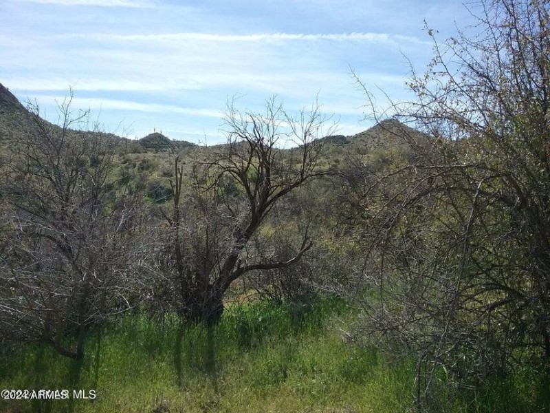 Castle Hot Springs 210