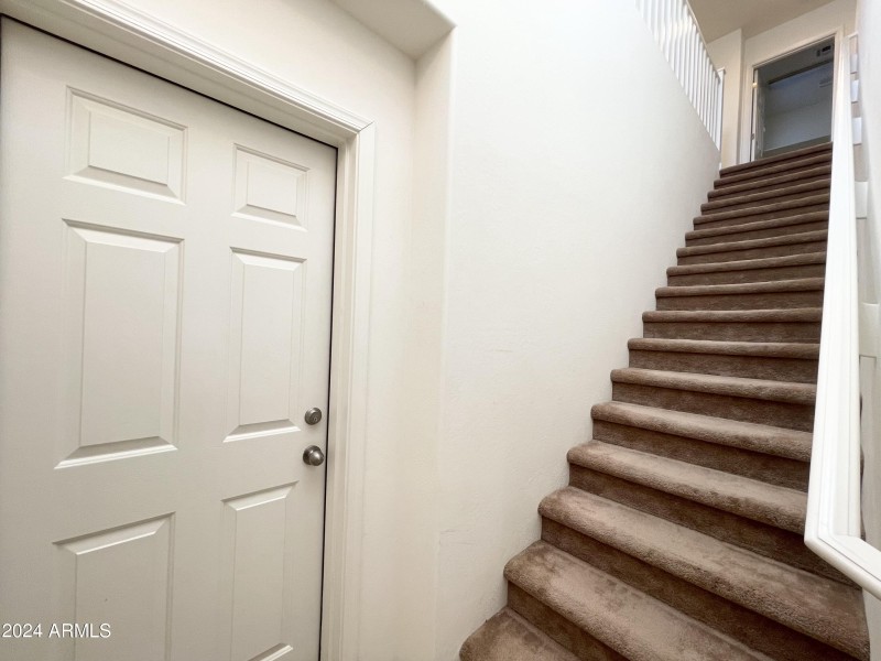 Privacy door