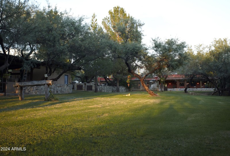 Back Lawn towards house