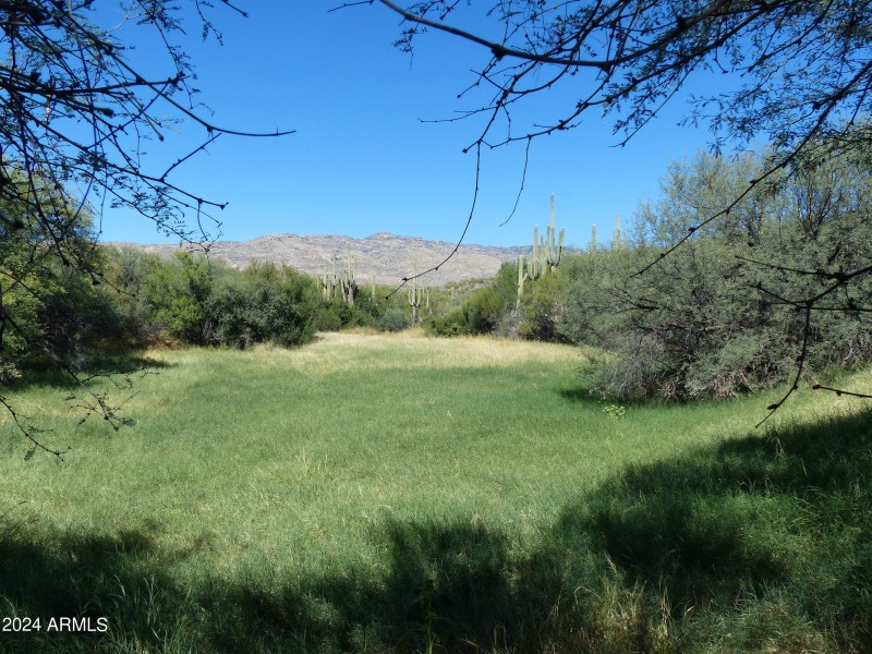 Canyon Meadow-2