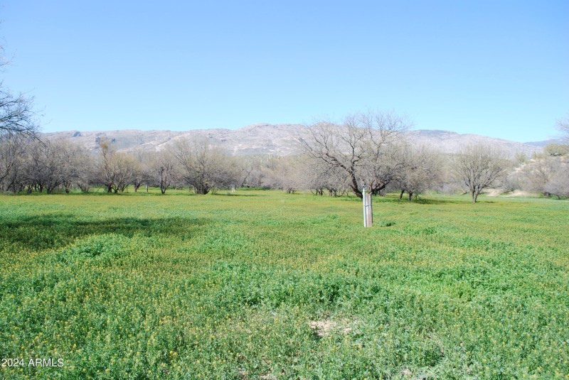 Pasture-1