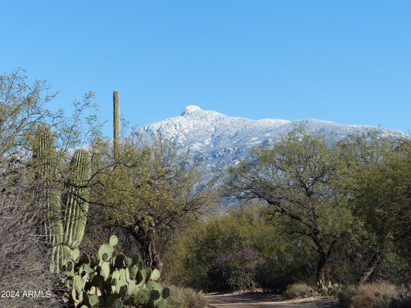 Rincon Peak from gate