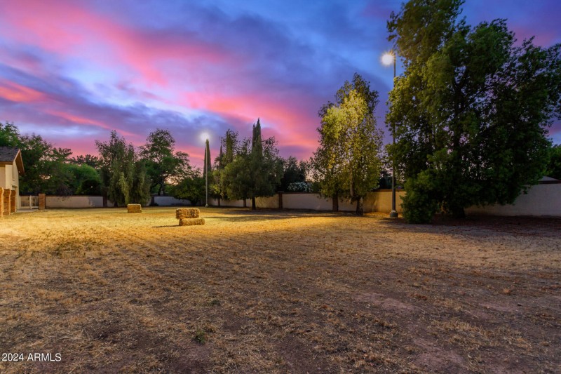 Horse Pasture