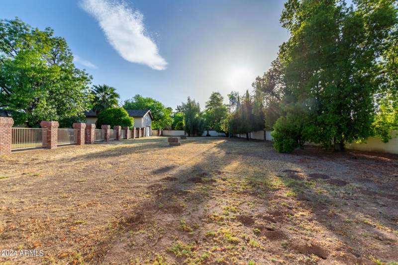 Horse Pasture