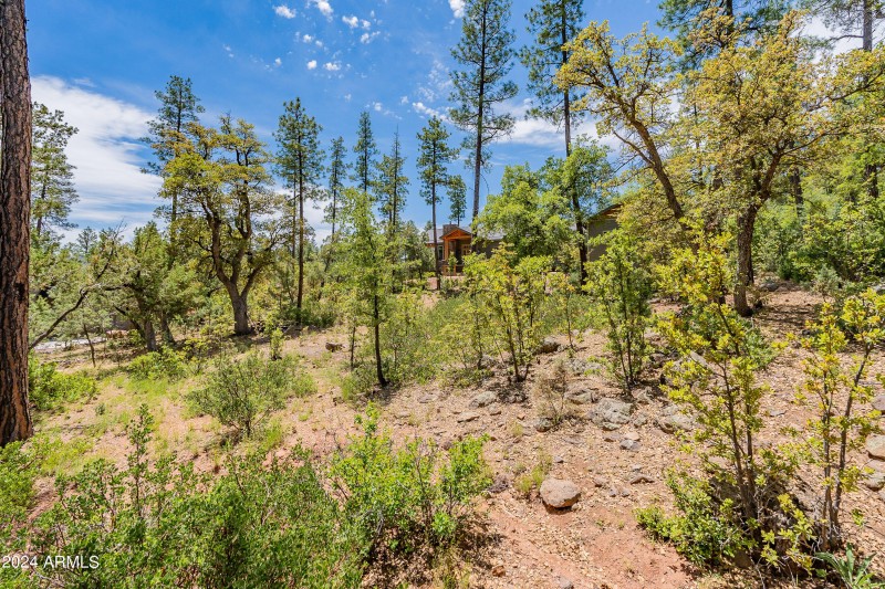 3-print-Forest-HD-3