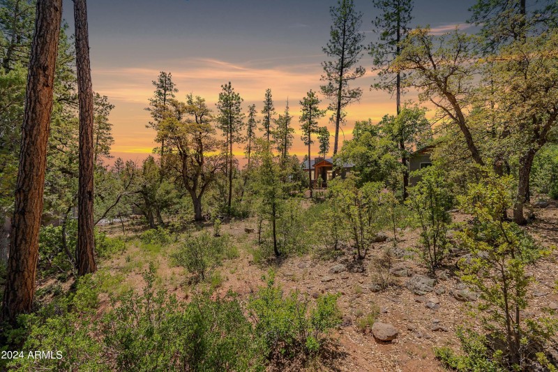4-print-Forest-HD-4