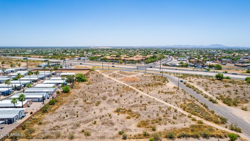 0010-10 - Royal Palm