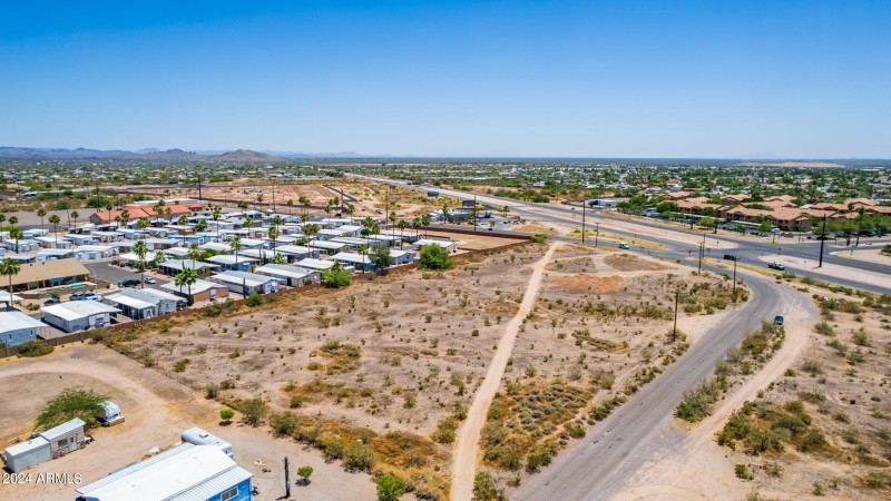 0011-11 - Royal Palm