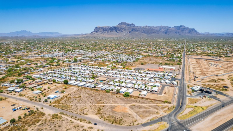 0014-14 - Royal Palm