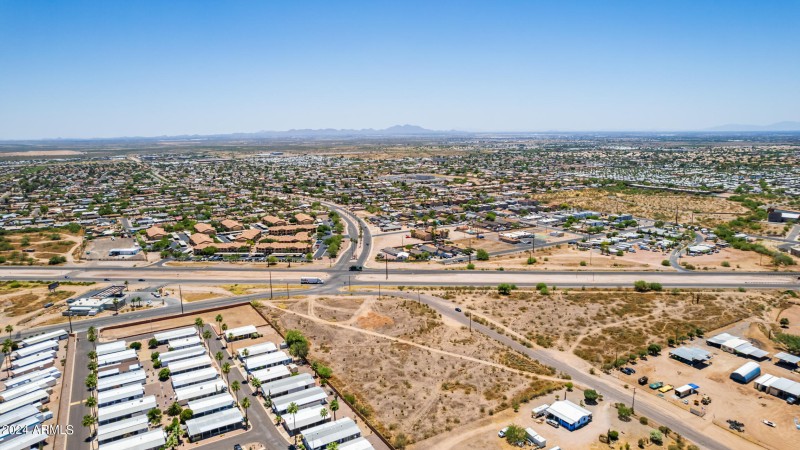 0017-17 - Royal Palm