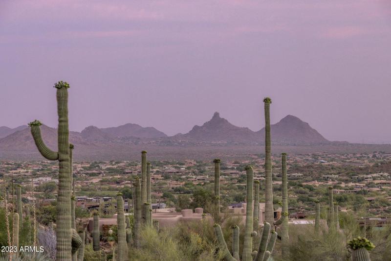 13-web-or-mls-D46A7000